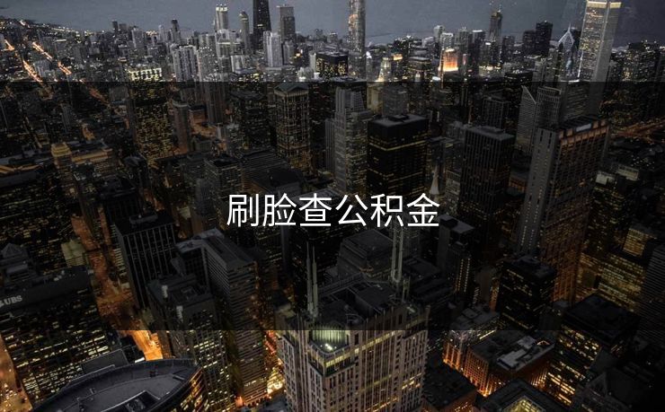 刷脸查公积金