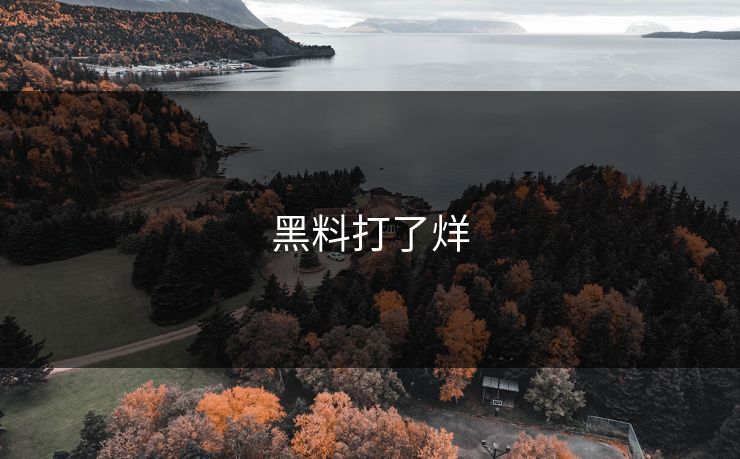 黑料打了烊