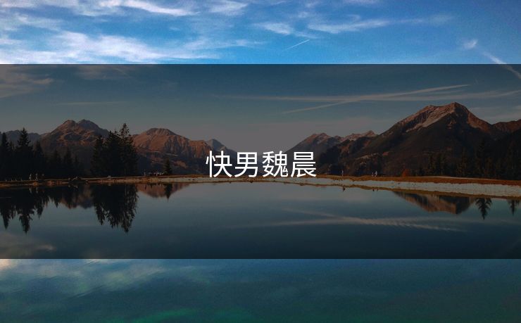 快男魏晨