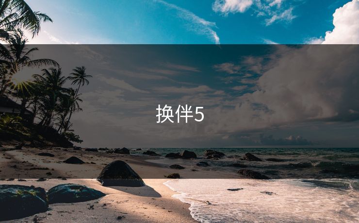 换伴5