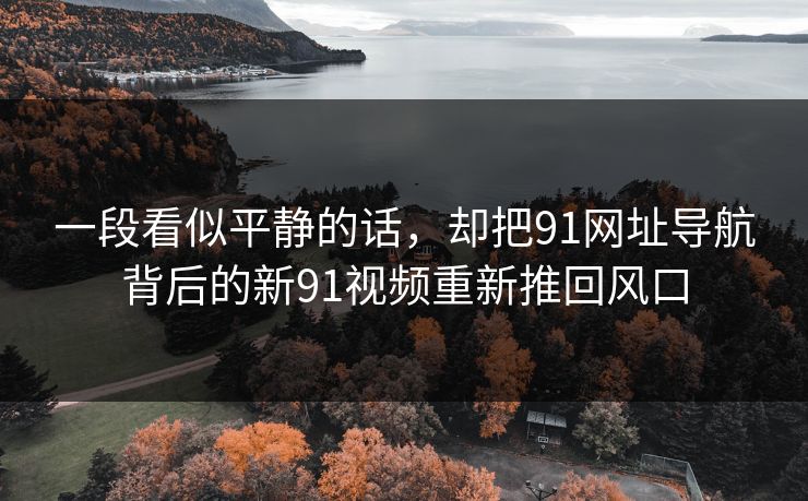 一段看似平静的话，却把91网址导航背后的新91视频重新推回风口